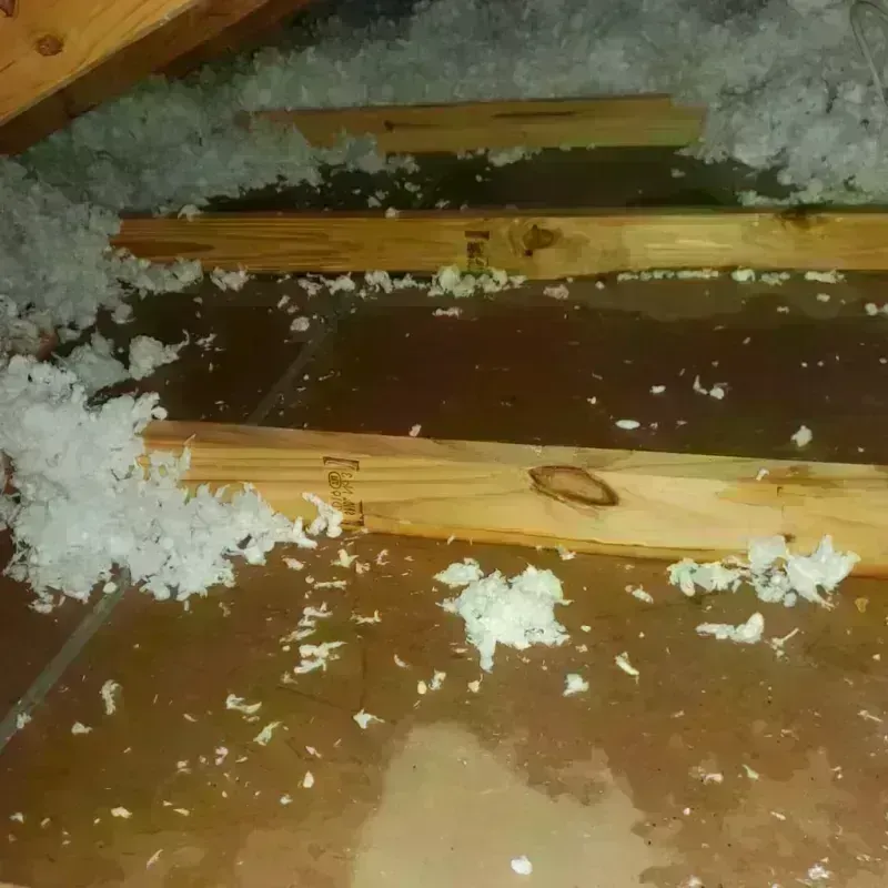 Attic Water Damage in Slope County, ND