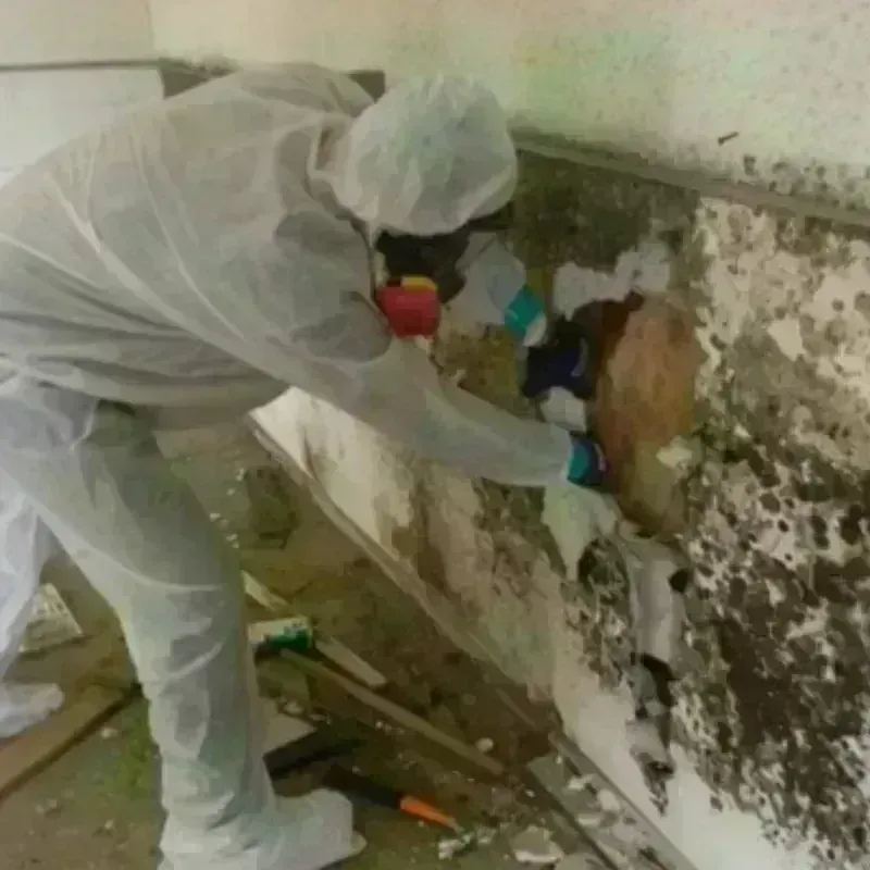 Mold Remediation and Removal in Slope County, ND