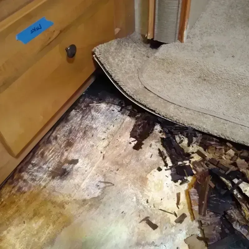 Wood Floor Water Damage in Slope County, ND